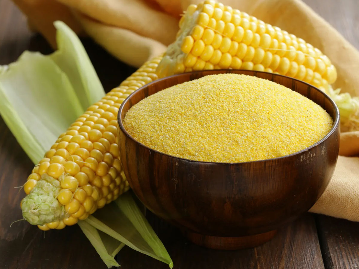 CORN / MAIZE