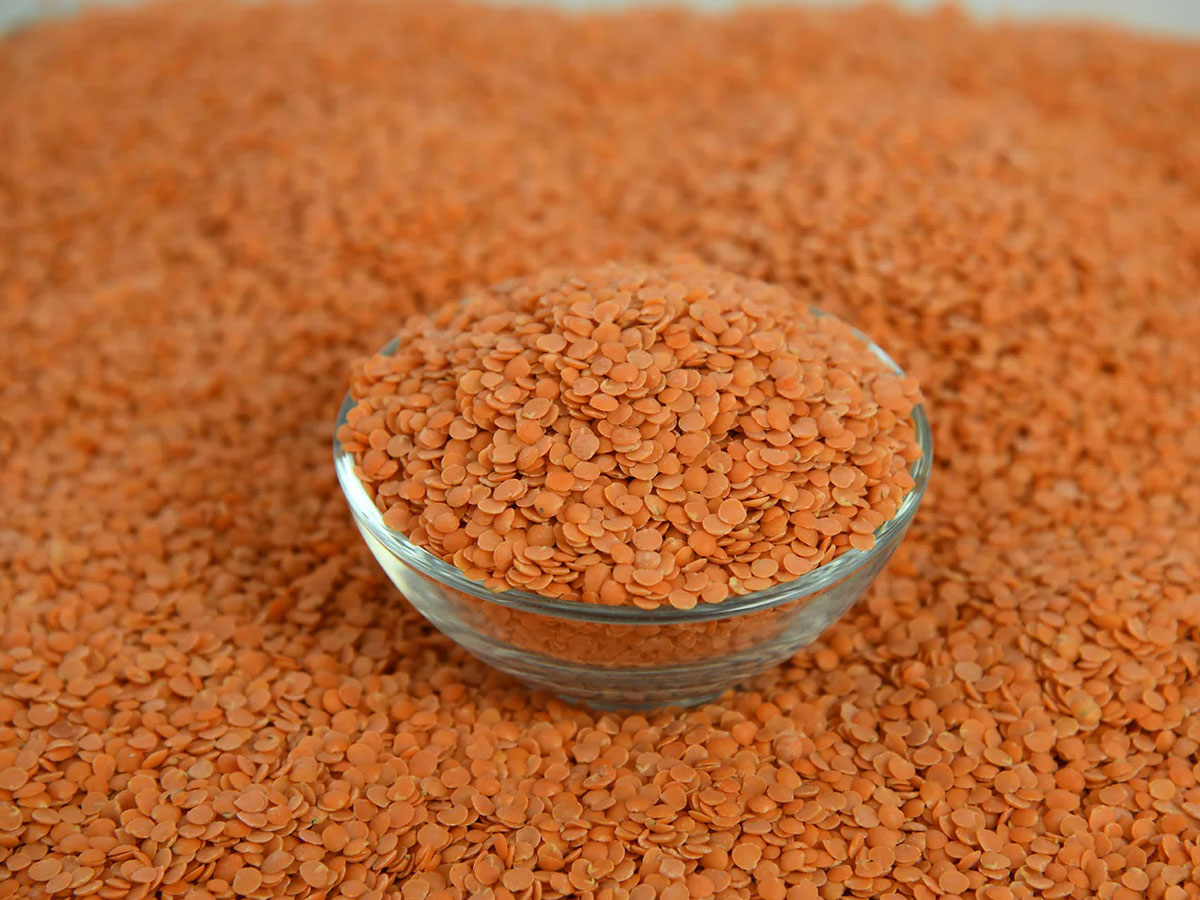 Masoor Dal